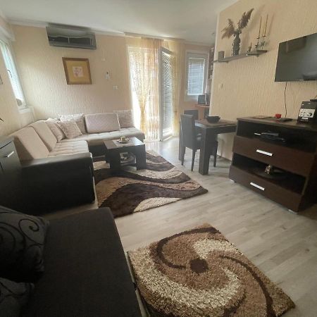 Studio Apartment For Rent In Budva Eksteriør billede
