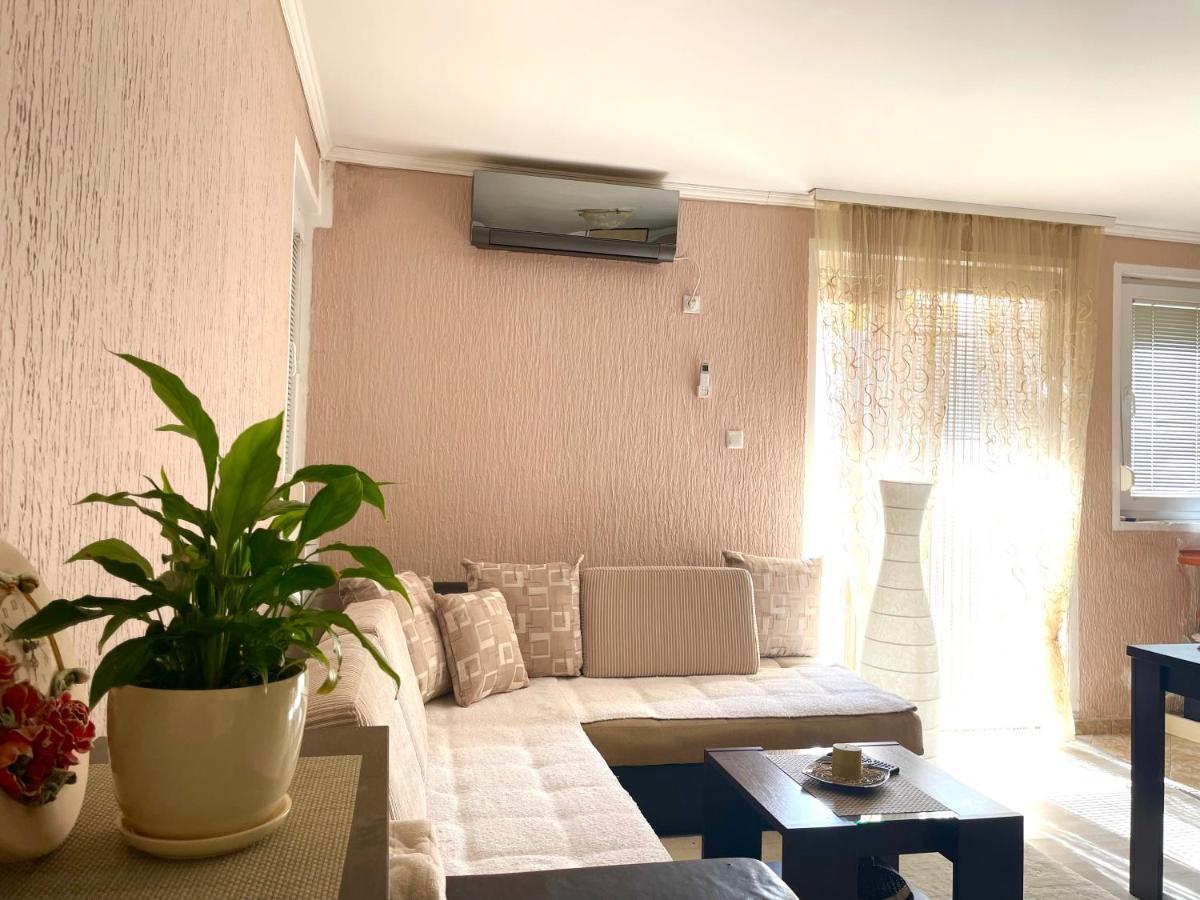 Studio Apartment For Rent In Budva Eksteriør billede