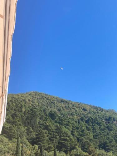 Studio Apartment For Rent In Budva Eksteriør billede